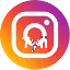 7yii Instagram